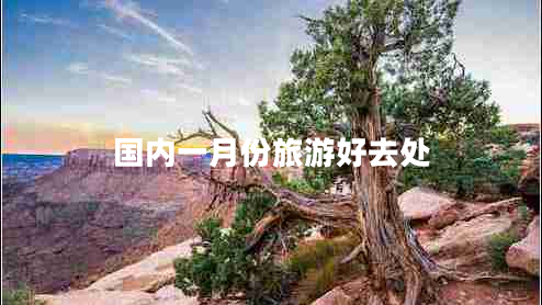 國內一月份旅游好去處