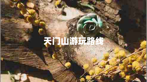 天門(mén)山游玩路線(xiàn)
