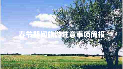 春節期間旅游注意事項簡(jiǎn)報