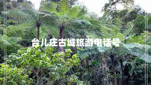 臺兒莊古城旅游電話(huà)號