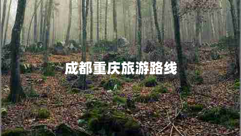 成都重慶旅游路線(xiàn)
