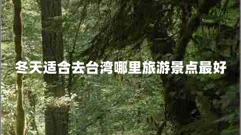 冬天適合去臺灣哪里旅游景點(diǎn)最好
