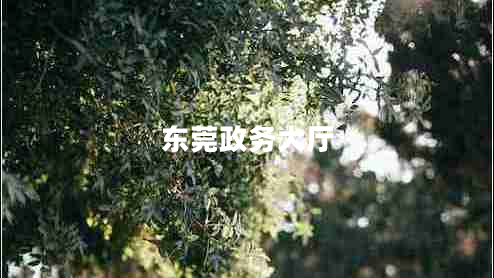 東莞政務(wù)大廳