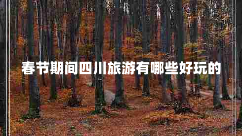 春節期間四川旅游有哪些好玩的