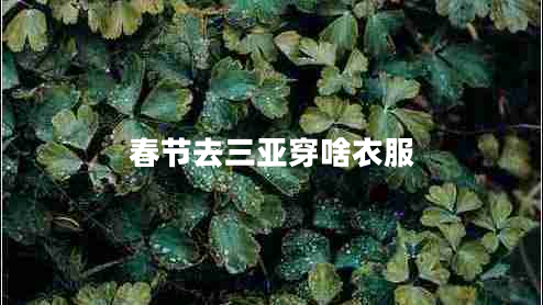 春節去三亞穿啥衣服