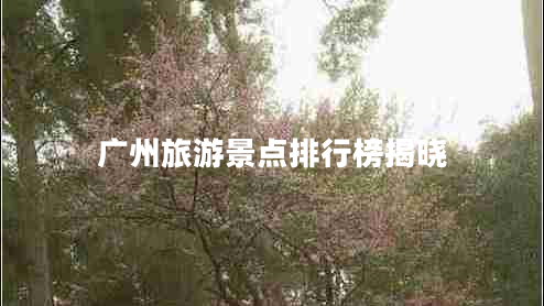 廣州旅游景點(diǎn)排行榜揭曉