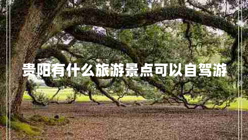 貴陽(yáng)有什么旅游景點(diǎn)可以自駕游