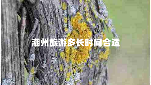 潮州旅游多長(cháng)時(shí)間合適