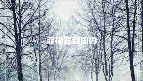 菲律賓到國內