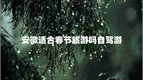 安徽適合春節旅游嗎自駕游