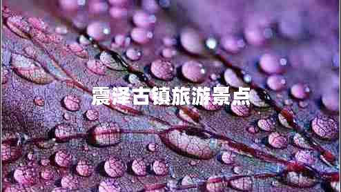 震澤古鎮旅游景點(diǎn)