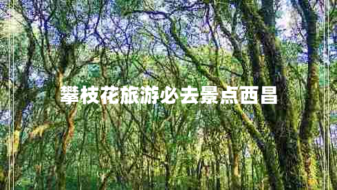 攀枝花旅游必去景點(diǎn)西昌