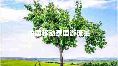 中國移動(dòng)泰國游流量