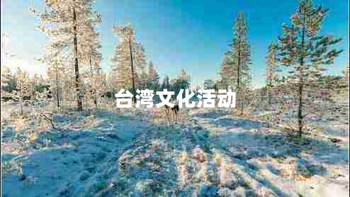 臺灣文化活動(dòng)