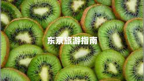 東京旅游指南