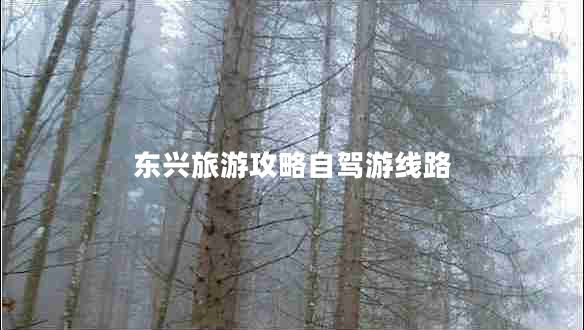 東興旅游攻略自駕游線(xiàn)路