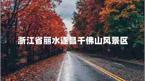 浙江省麗水遂昌千佛山風(fēng)景區