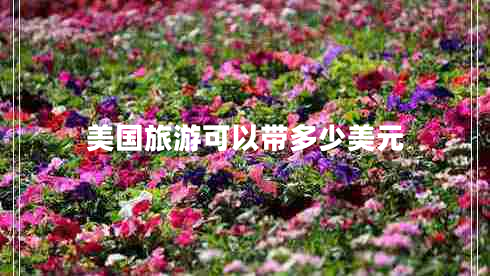 美國旅游可以帶多少美元
