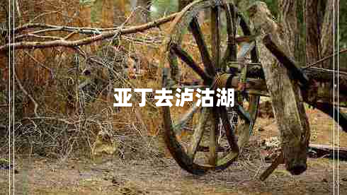 亞丁去瀘沽湖