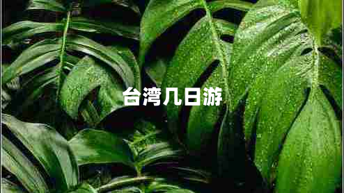 臺灣幾日游