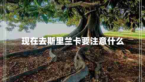 現在去斯里蘭卡要注意什么
