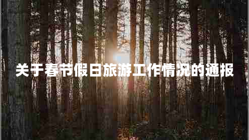 關(guān)于春節假日旅游工作情況的通報