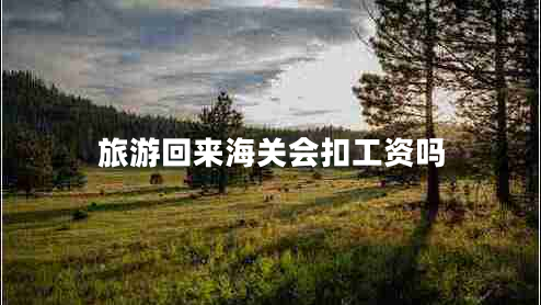 旅游回來(lái)海關(guān)會(huì )扣工資嗎