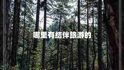 哪里有結伴旅游的