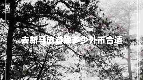 去新馬旅游換多少外幣合適