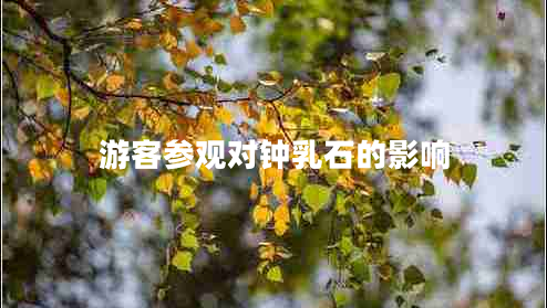 游客參觀(guān)對鐘乳石的影響