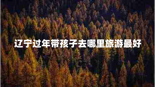 遼寧過(guò)年帶孩子去哪里旅游最好