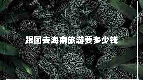 跟團去海南旅游要多少錢(qián)