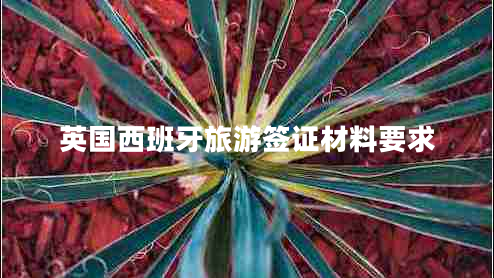 英國西班牙旅游簽證材料要求