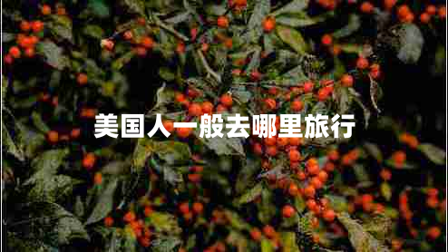 美國人一般去哪里旅行