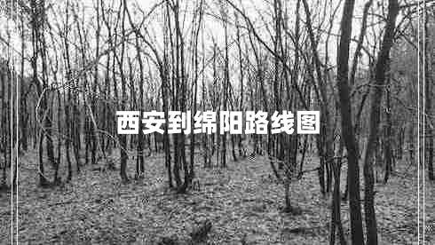 西安到綿陽(yáng)路線(xiàn)圖