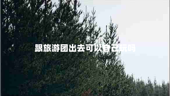 跟旅游團出去可以自己玩嗎