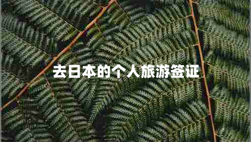 去日本的個(gè)人旅游簽證