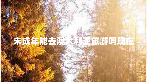 未成年能去澳大利亞旅游嗎現在