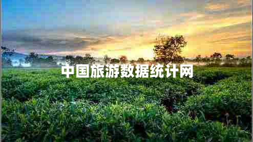 中國旅游數據統計網(wǎng)