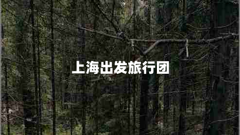 上海出發(fā)旅行團