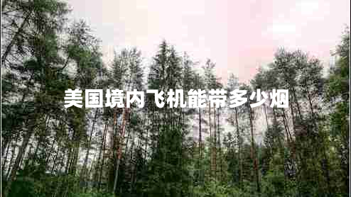 美國境內飛機能帶多少煙