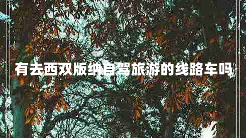 有去西雙版納自駕旅游的線(xiàn)路車(chē)嗎