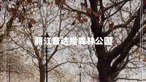 麗江普達措森林公園