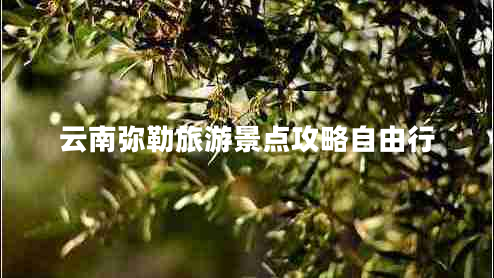 云南彌勒旅游景點(diǎn)攻略自由行