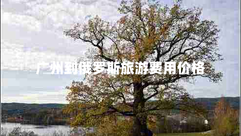 廣州到俄羅斯旅游費用價(jià)格