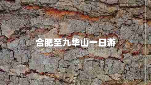 合肥至九華山一日游
