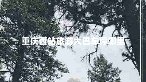 重慶西站旅游大巴車(chē)停哪里