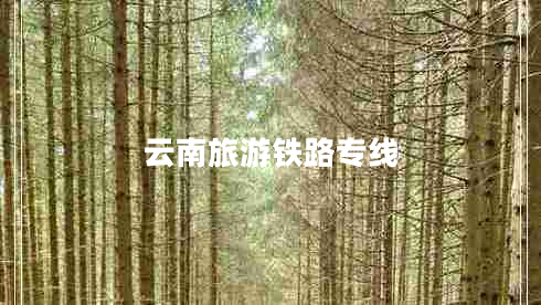 云南旅游鐵路專(zhuān)線(xiàn)