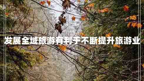 發(fā)展全域旅游有利于不斷提升旅游業(yè)