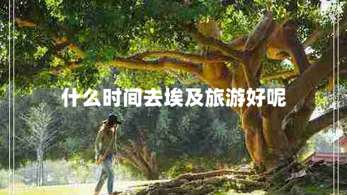 什么時(shí)間去埃及旅游好呢